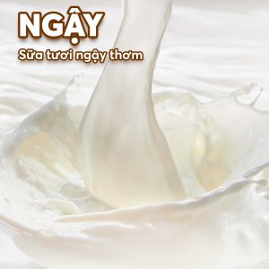 SỮA TƯƠI TRÂN CHÂU ĐƯỜNG ĐEN